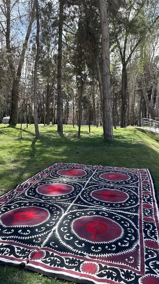 Vintage Uzbek Suzani Wall Hanging & Tablecloth